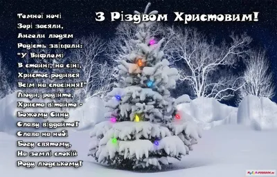 Рождество 25 декабря: поздравления на украинском языке в стихах, открытки -  Телеграф