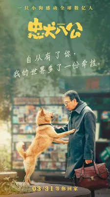 Мой Хатико (2023) - Hachiko - Zhong quan ba gong - 忠犬八公 - постеры фильма -  азиатские фильмы - Кино-Театр.Ру