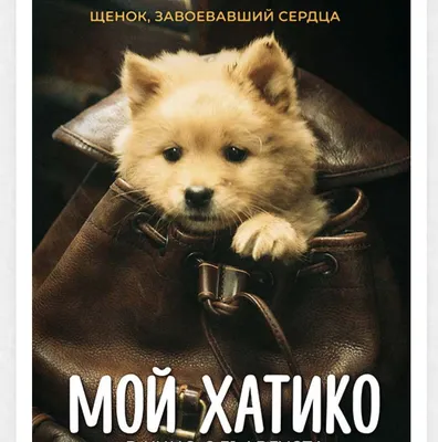 Хатико - верный пес, который ждал своего хозяина 9 лет» — создано в  Шедевруме