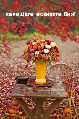 Картинки "Хорошего осеннего дня!" (100 шт.) | Осенние картинки, Осень,  Пожелания для открыток