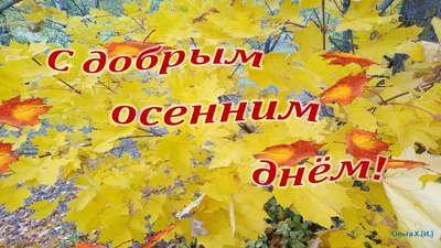 Доброе осеннее утро и приятных выходных | Выходные, Еда кафе, Доброе утро