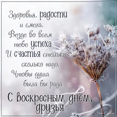 Доброе утро воскресенье! С выходным воскресным днём, все сегодня отдохнём!  - YouTube