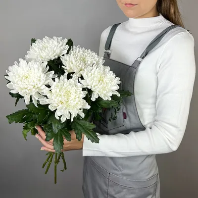 Корзина из 101 хризантемы купить от 16100 рублей в Спб с доставкой | Fleur  de Lys
