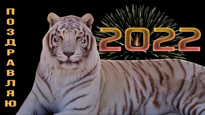 Поздравление с Новым Годом Тигра, Китайский Новый Год 2022, символ года  Тигренок | Happy New Year - YouTube