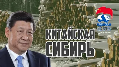 КНР потребовала от России расследования по жестокому обращению с китайцами  - Газета.Ru | Новости