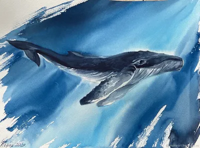 Ученые впервые смогли поговорить с китом | РБК Украина