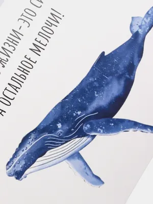Подарочная открытка с китом «Моя любовь размером с кита» купить в Минске