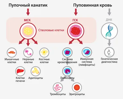 Картинки в клетку - 80 фото