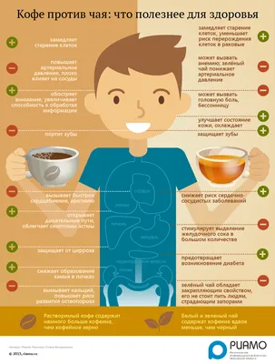Интересные факты о чае и кофе | Блог 