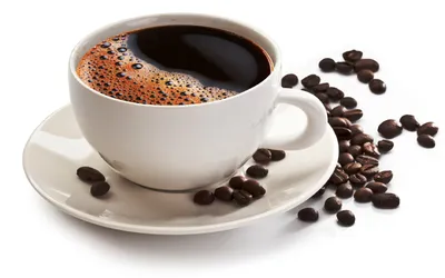 Как приготовить кофе дома | Злой Кофе | Дзен