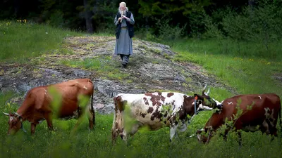 Арташес Бадалян - Шизофрения (из цикла «Символическая геометрия») –  х-оргалит-м – 35х45, 2020: Описание произведения | Артхив