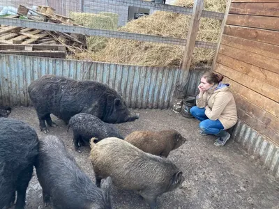 Тест по картинке, который за одну минуту поможет выяснить, есть ли  склонность к шизофрении — Курьезы