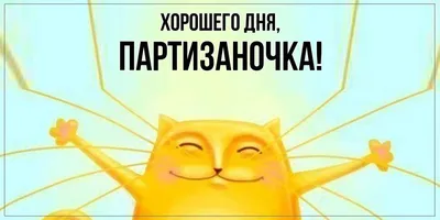 Смешные открытки "Доброго дня!" (235 шт.)