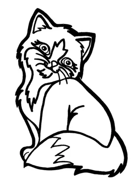 Рисунки кошек и котов - 