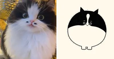 Зен-кошка | Рисунки, Кошки, Рисунок