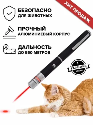 Прохвостик Лазерная указка для игры с животными (котами и собаками)