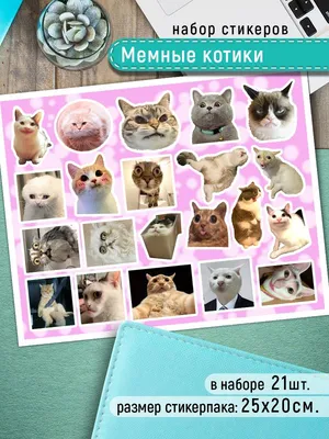 Наклейки Мемные котики - Стикеры с котами мемы - купить с доставкой по  выгодным ценам в интернет-магазине OZON (954766839)