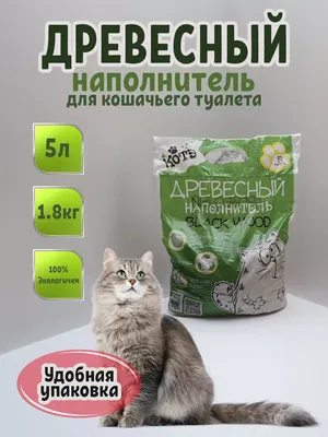 Котэ из нейросети 1 | Пикабу