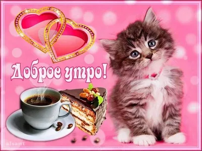 Самые милые открытки с добрым утром котята