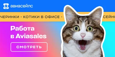 Картины с котятами, смешной кот Картина для подарка ребенку в  интернет-магазине Ярмарка Мастеров по цене 2975 ₽ – TFRG6RU | Картины, Сочи  - доставка по России