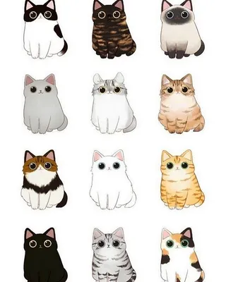 Рисунки котиков для срисовки легкие - 73 фото