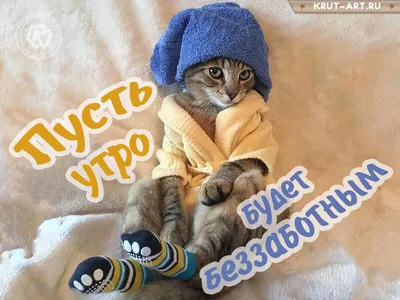 Картинка "Доброго зимнего утра!" с удивлённым котом • Аудио от Путина,  голосовые, музыкальные