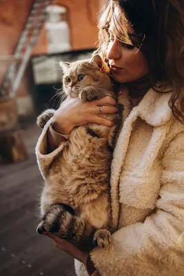 Idea for a photo with cat | идея для фотосессии с котом #photowithcat  #catphotoshoot #фотоскотом #фотосессияскотом | Фотосессия, Кот, Животные