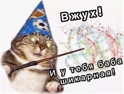 Девушка с котом | Пикабу