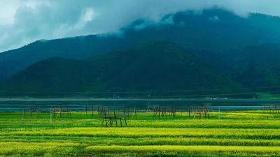 Красивые пейзажи природы с цветами (58 фото) - 58 фото