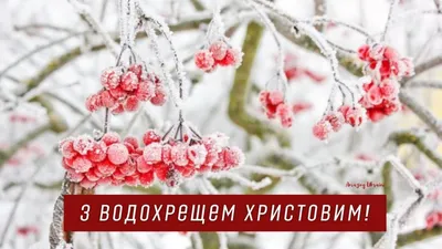 Крещение пришло – святую воду принесло» - час духовности |  |  Нижнедевицк - БезФормата