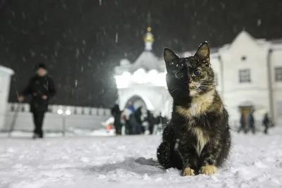 Крещенские купания в Ядринском муниципальном округе |  | Ядрин -  БезФормата