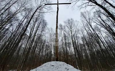 Цепочка с двумя крестами, цепь с крестиком, чокер, колье. купить по цене  280 ₽ в интернет-магазине KazanExpress