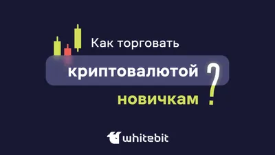 Торговля криптовалютой достигла самого низкого объема в августе: отчет |  Криптополитический