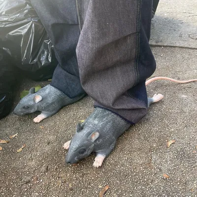 Весь интернет обсуждает новые модные ботинки-крысы. Отдали бы за них €500?