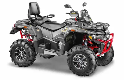 Квадроцикл Hisun 300 ATV - купить в Киеве и Украине - цена в  интернет-магазине Агромеханика