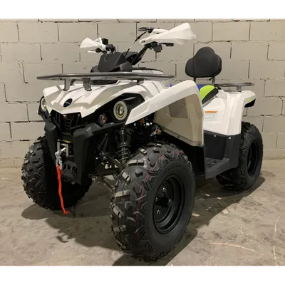 Квадроцикл ATV Мини Барс 800 RC Флэш - цена 31 500 руб, купить  электроквадроциклы в Москве в интернет-магазине