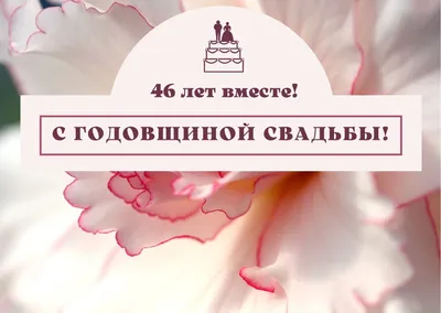 Лучшие поздравления с 46 годовщиной свадьба 26 июня в прозе - Телеграф