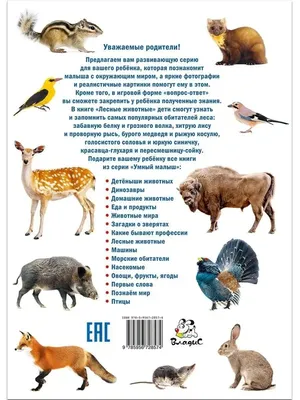 Свеча С Днём Рождения с лесными животными купить в Москве по цене 399₽ |  Арт. 107-665