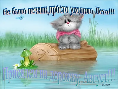 Что случилось этим летом, Тесса Бейли – скачать книгу fb2, epub, pdf на  ЛитРес