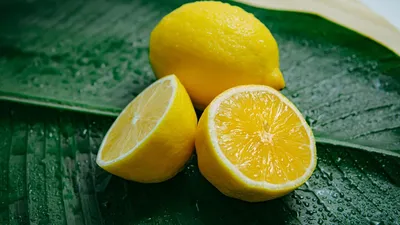 Лимон комнатный - Citrus limon. Уход за комнатным лимоном, выращивание