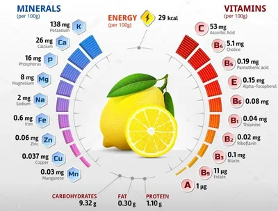 Вода с лимоном утром полезна или нет и как влияет на организм - объяснение  | РБК Украина