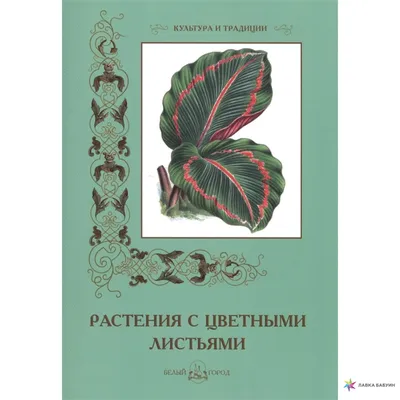 Фотообои Акварельные зеленые листьями с цветами Nru96336 купить на заказ в  интернет-магазине