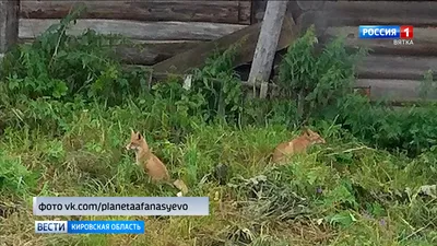 Командующий ОК «Юг» приехал в Херсон и встретился с людьми (ФОТО, ВИДЕО)