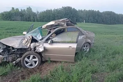 Водитель и ребенок-пассажир Mazda погибли в результате ДТП с лосем | |  Infopro54 - Новости Новосибирска. Новости Сибири