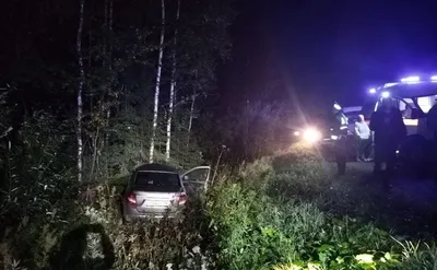 В Свердловской области водитель погиб после столкновения с лосем — РБК