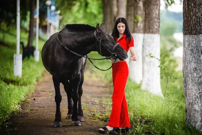 Фото с лошадками )) | Пикабу