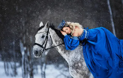 Зимовка диких лошадей в Оренбуржье: пржевальцы справились на «отлично»