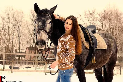 черная лошадь с рождественским венком зимой Фото Фон И картинка для  бесплатной загрузки - Pngtree