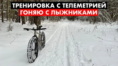 Сноубордисты! Осторожно! Лыжники!