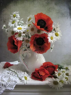 Фотография букет Маки цветок Ромашки Васильки